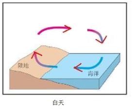 海陸風 海陸風